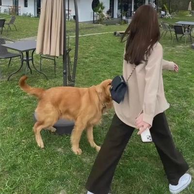小雁与吴爱丽